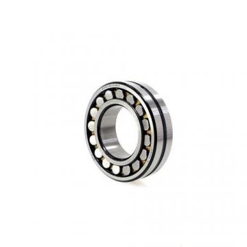 Cylindrical Roller Bearing NU205