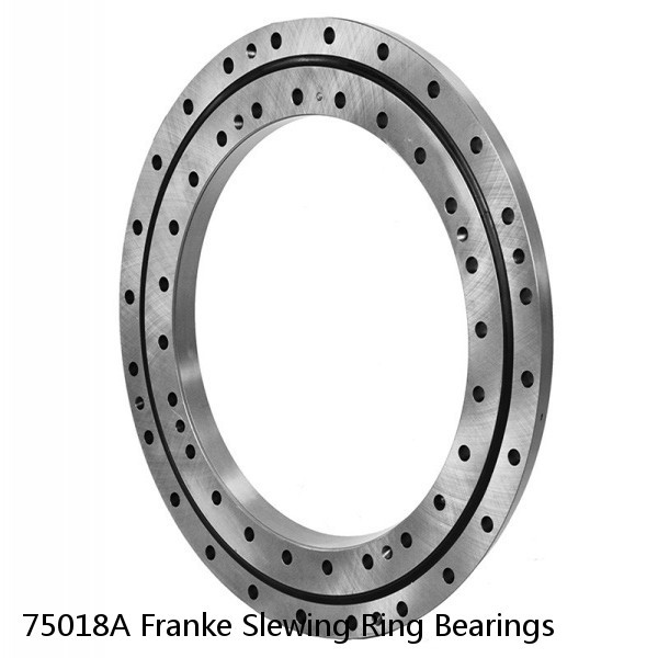 75018A Franke Slewing Ring Bearings