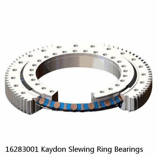 16283001 Kaydon Slewing Ring Bearings