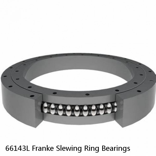 66143L Franke Slewing Ring Bearings