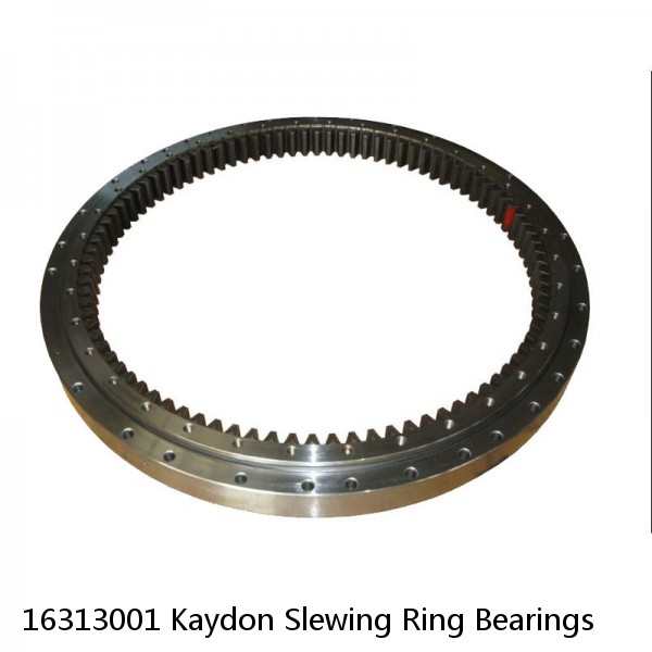 16313001 Kaydon Slewing Ring Bearings