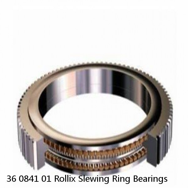 36 0841 01 Rollix Slewing Ring Bearings #1 image