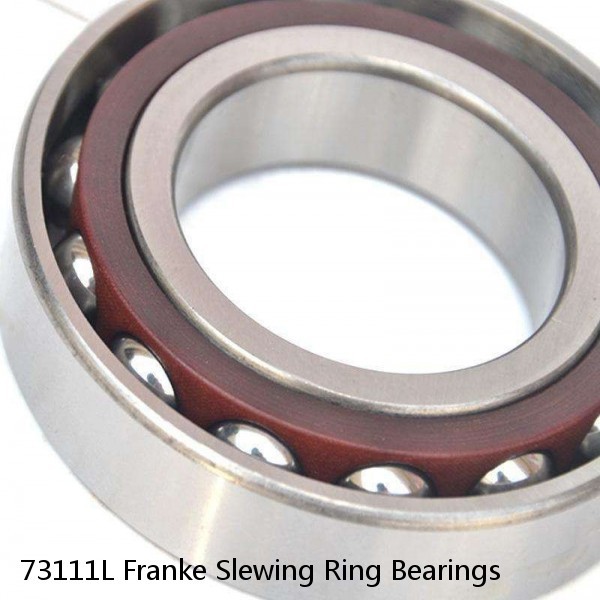 73111L Franke Slewing Ring Bearings #1 image
