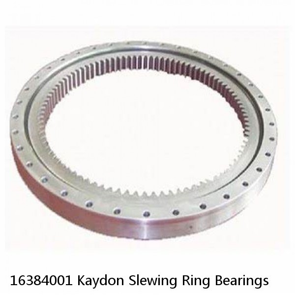 16384001 Kaydon Slewing Ring Bearings #1 image